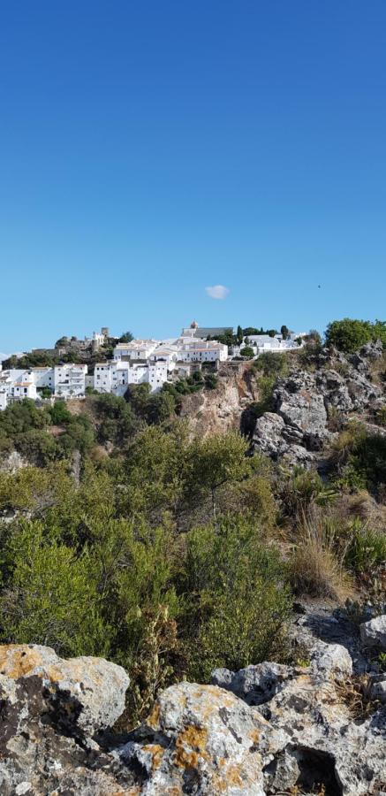 Puerto Estepona Exteriör bild